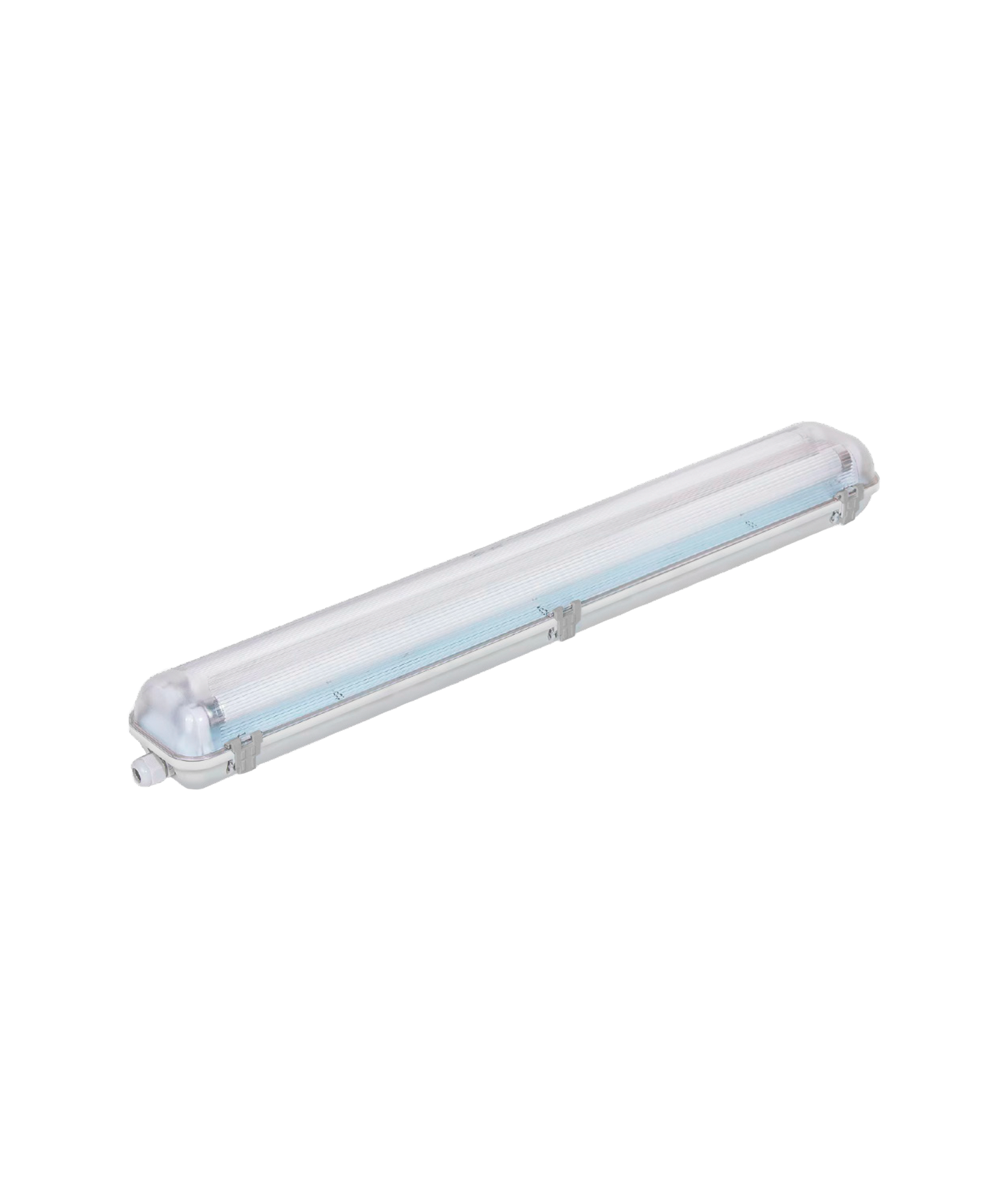 Armadura Estanque Denis Dupla IP65
