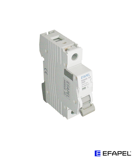 Interruptor 1P 250/415V 25A
