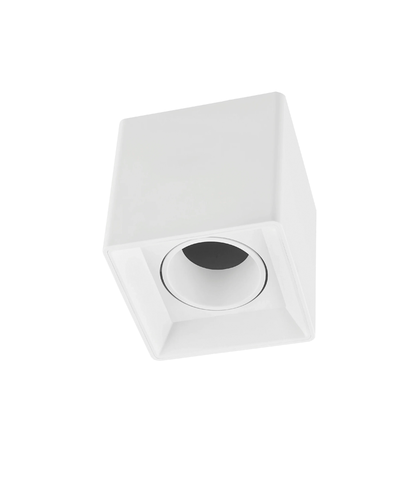 Aplique de Tecto Orientável Horatia GU10